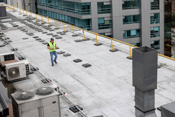 Best Roof Maintenance and Cleaning  in Kekaha, HI